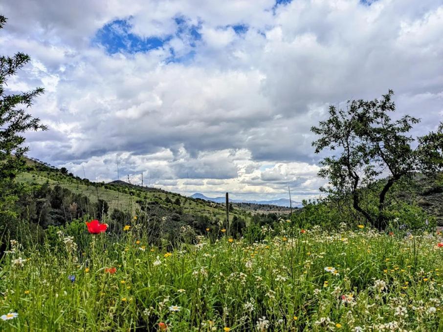 Nature Home Maitreya Lorca  Buitenkant foto